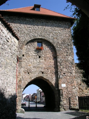img00001.jpg