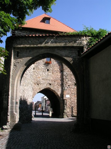 img00003.jpg