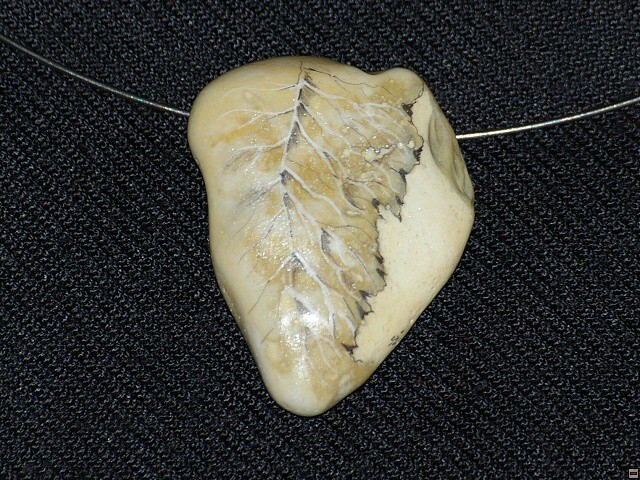 img00025.jpg