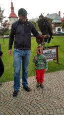 IMG_20170917_165100_HDR_result