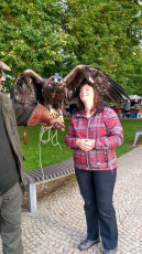 IMG_20170917_164059_HDR_result